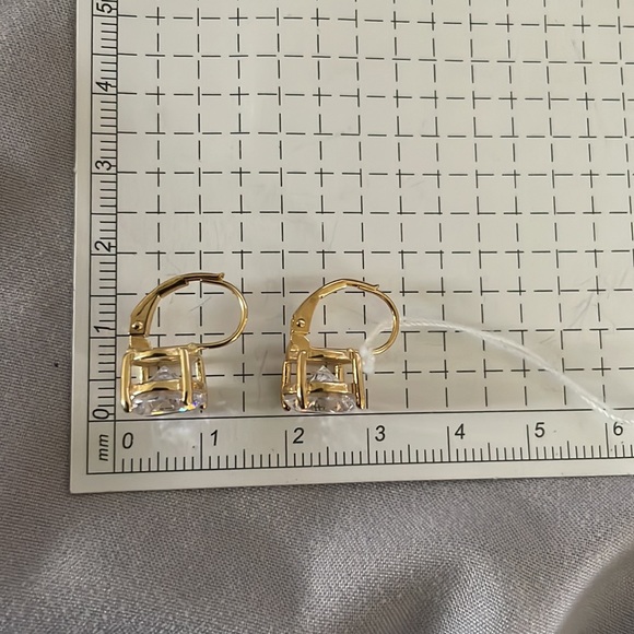 Bella Luce Earrings - Picture 7 of 9